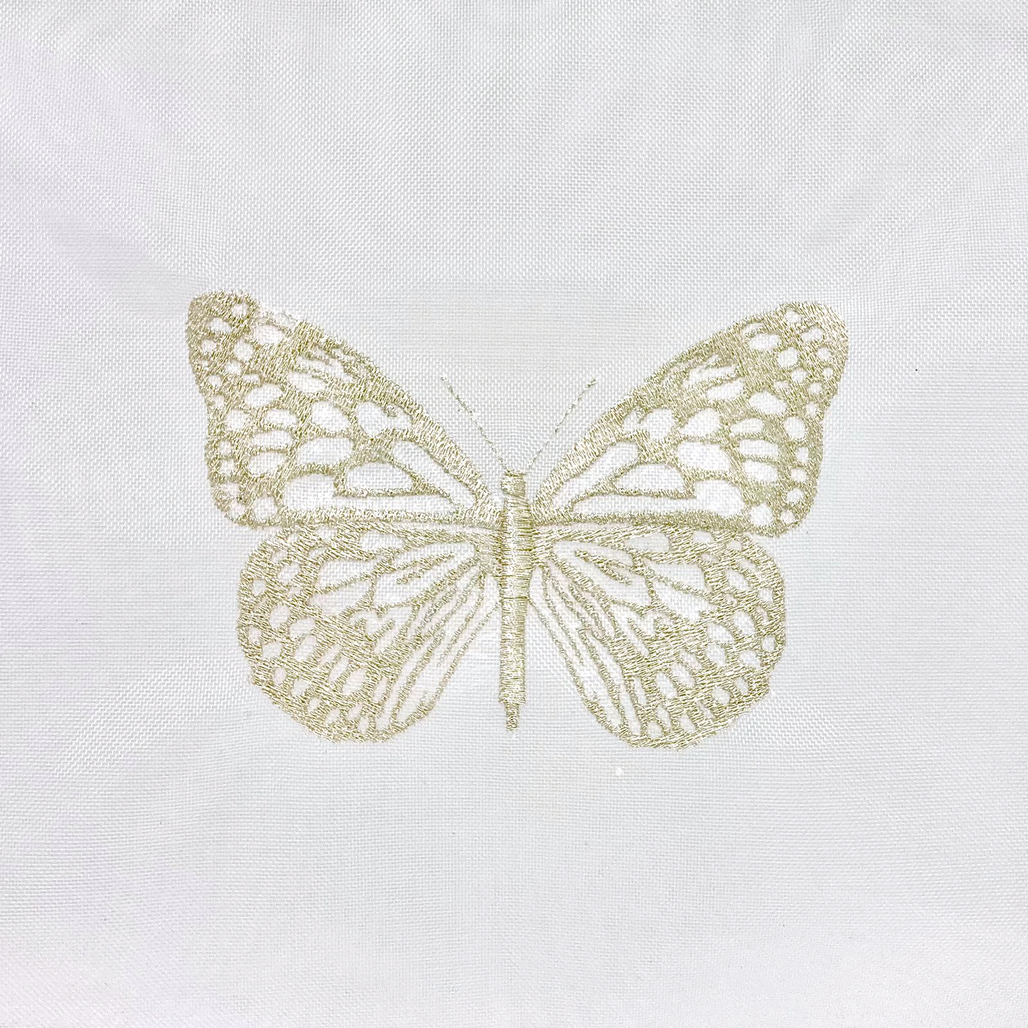MARIPOSA DE PLATA